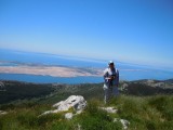 15. pogled